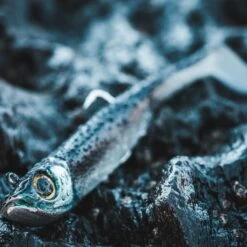 COMBO Leurres Souples Shad Texan ANCHO 120 50g Dos Noir/dos Blanc Pêche En Mer -Matériel De Pêche combo leurres souples shad texan ancho 120 50g dos noirdos blanc peche en mer 3