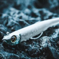 COMBO Leurres Souples Shad Texan ANCHO 120 50g Dos Noir/dos Blanc Pêche En Mer -Matériel De Pêche combo leurres souples shad texan ancho 120 50g dos noirdos blanc peche en mer 5