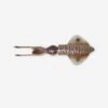 Savage Gear Leurre De Pêche En Mer 3D SWIM SQUID 12.5 CM CUTTLEFISH -Matériel De Pêche leurre de peche en mer 3d swim squid 125 cm cuttlefish